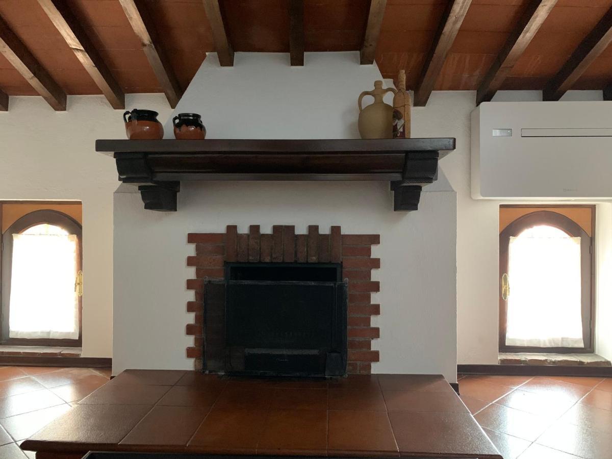Daisy House: Attic In The Historical Center *